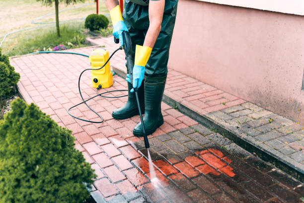 Roof Power Washing Services in Willards, MD