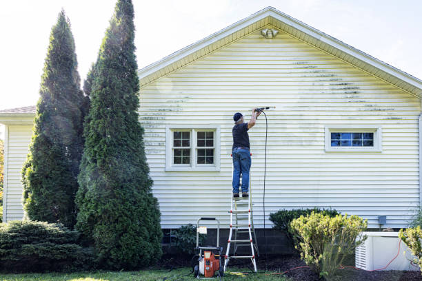 Local Pressure Washing Services in Willards, MD