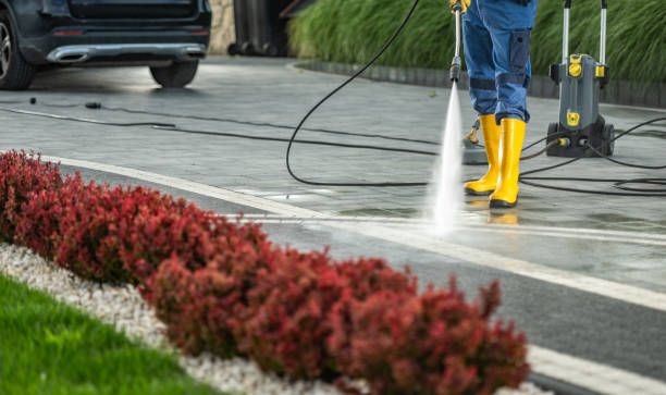 Best Affordable Power Washing  in Willards, MD