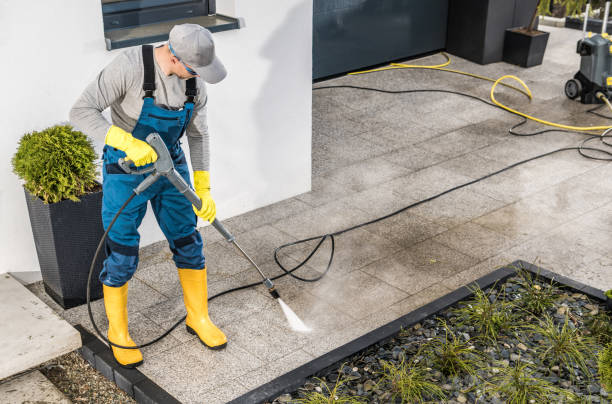 Best Roof Pressure Washing  in Willards, MD